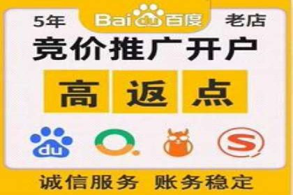 百度推广平台在电商行业的应用成功案例